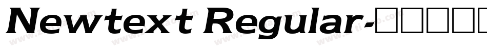 Newtext Regular字体转换